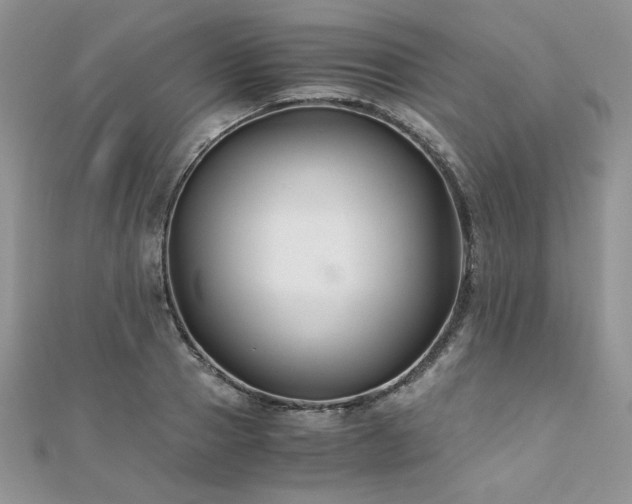 X0000110930937200906181426