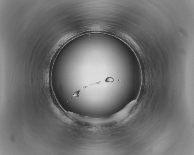 X0000110930938200906181426