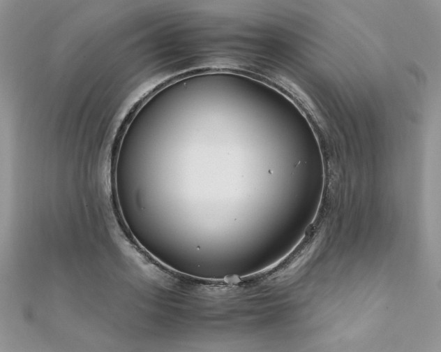 X0000110930939200906181426