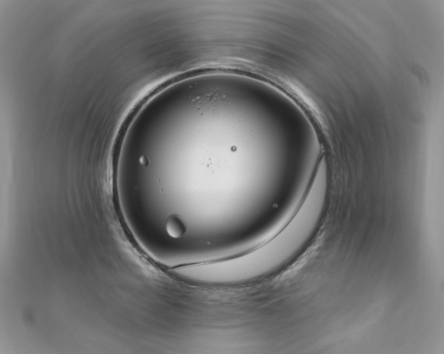 X0000110930940200906181426