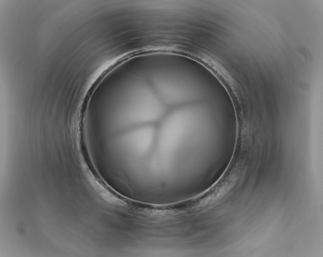 X0000110930941200906181426