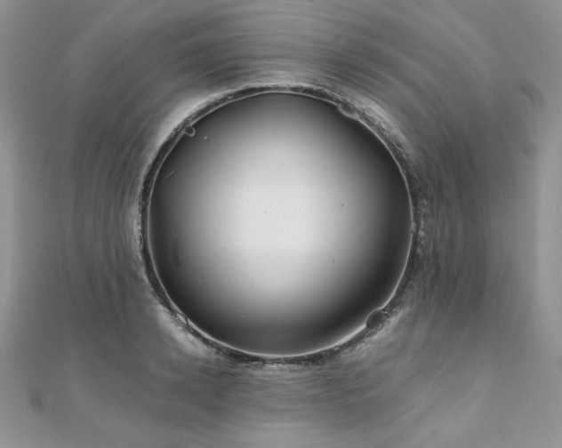 X0000110930942200906181426