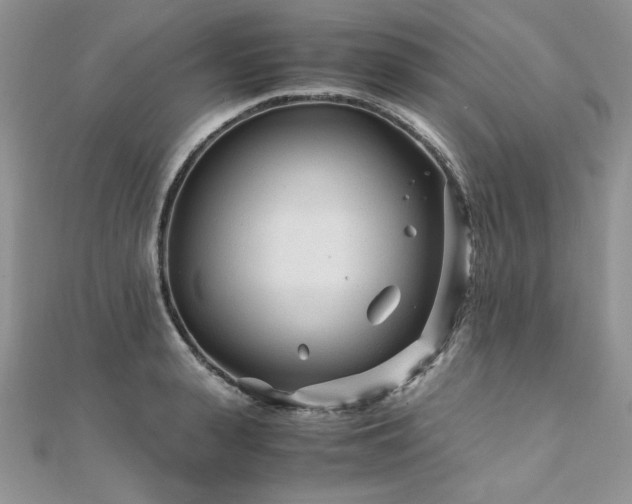 X0000110930943200906181426