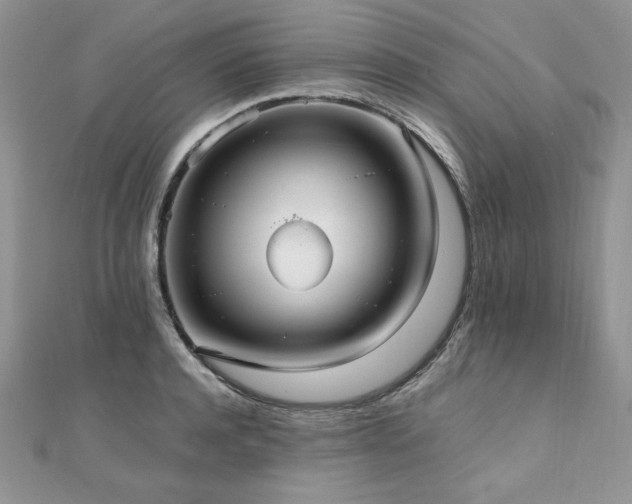 X0000110930944200906181426