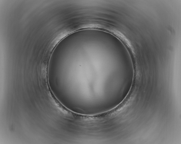 X0000110930945200906181426