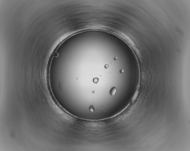 X0000110930947200906181426