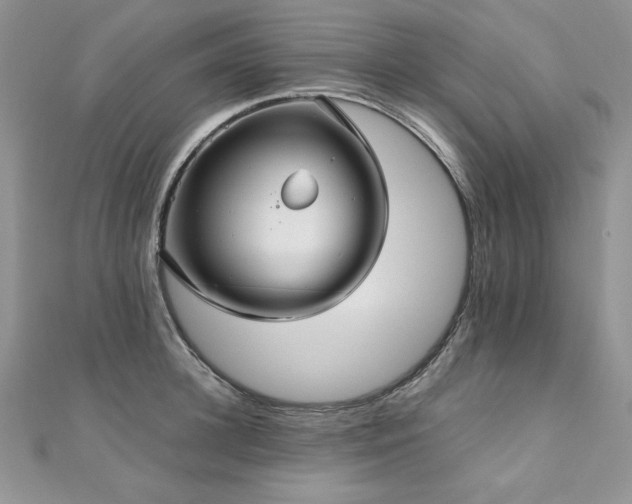 X0000110930948200906181426