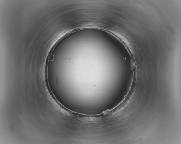 X0000110930949200906181426