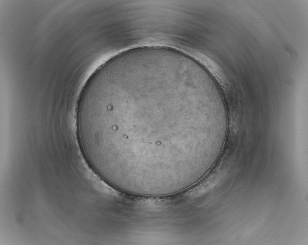 X0000110930950200906181426