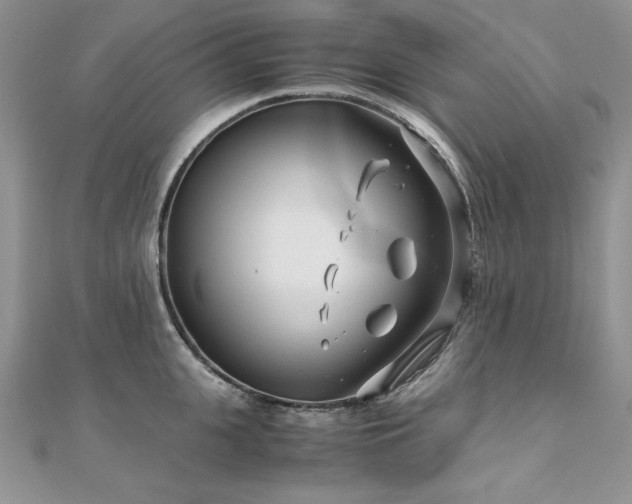 X0000110930951200906181426