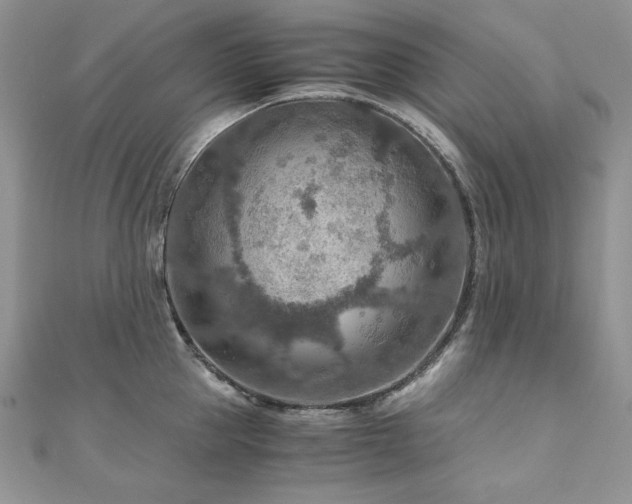 X0000110930953200906181426