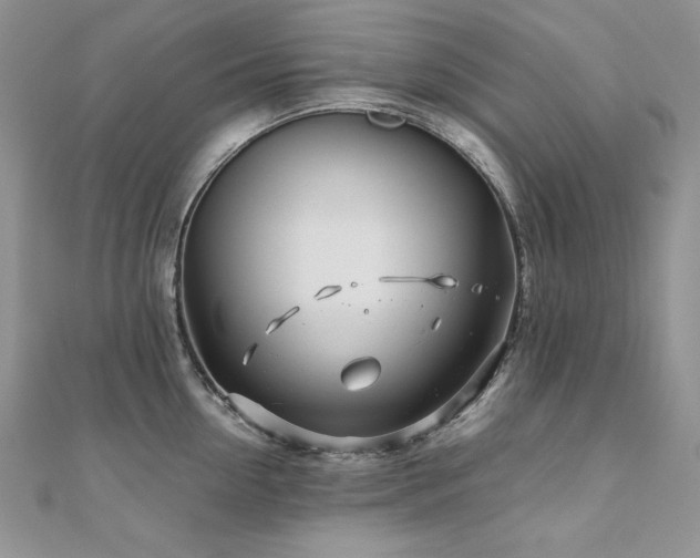 X0000110930954200906181426