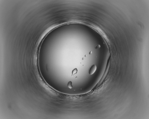 X0000110930955200906181426