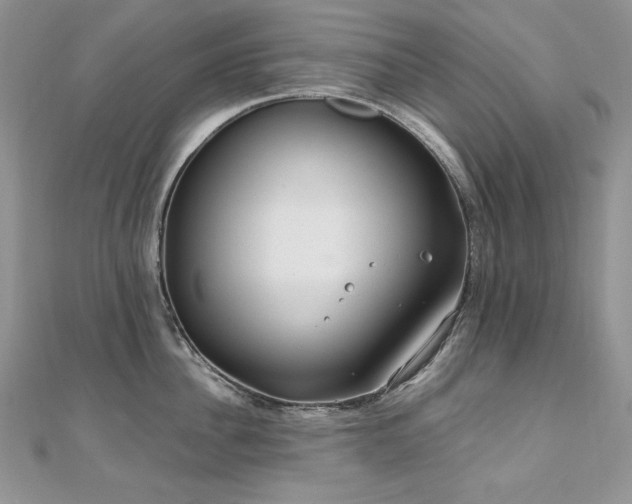 X0000110930956200906181426