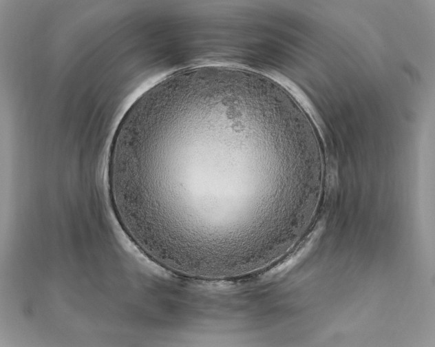 X0000110930957200906181426