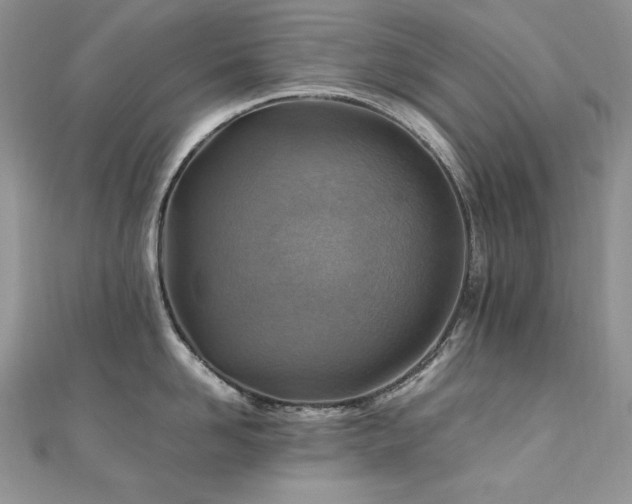 X0000110930958200906181426