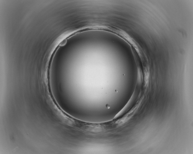 X0000110930959200906181426