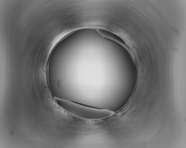 X0000110930960200906181426