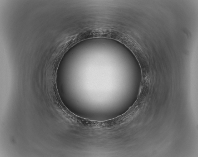 X0000110930961200906181426