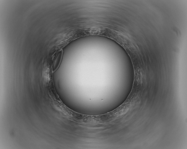 X0000110930962200906181426