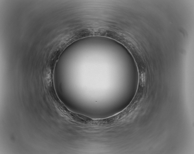 X0000110930963200906181426