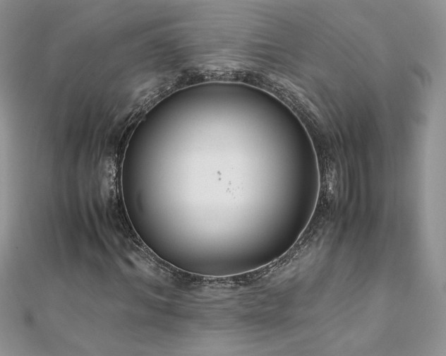 X0000110930964200906181426