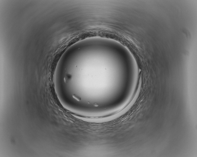 X0000110930965200906181426