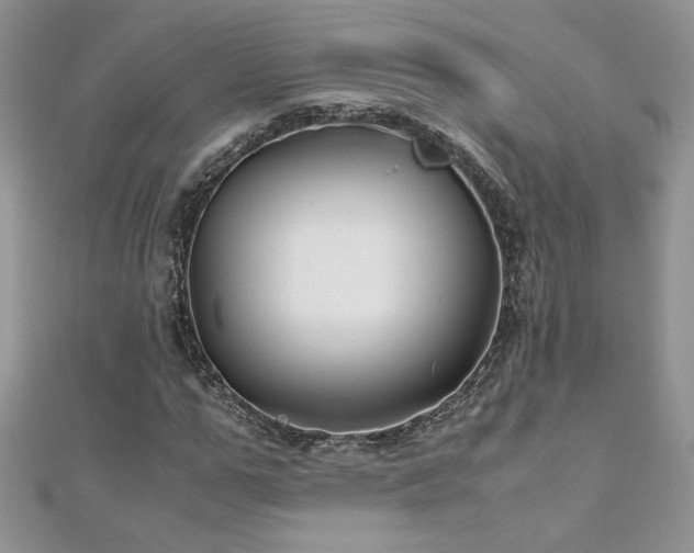 X0000110930967200906181425