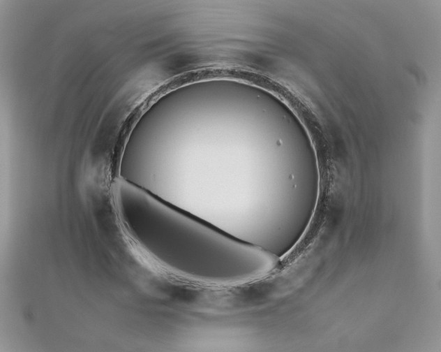 X0000110930969200906181425