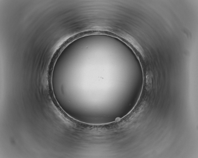 X0000110930972200906181425