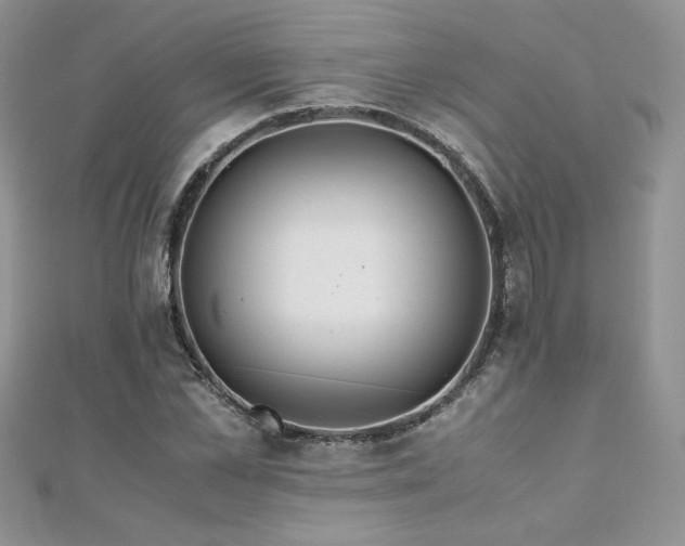 X0000110930973200906181425