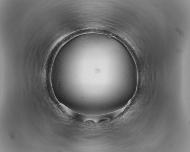 X0000110930975200906181425