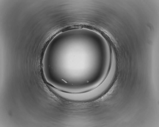 X0000110930977200906181425