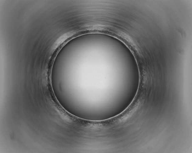 X0000110930978200906181425
