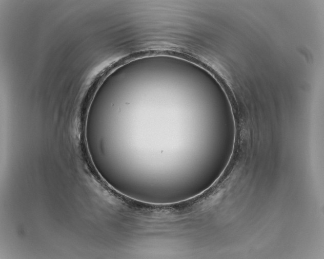 X0000110930979200906181425