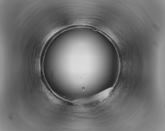 X0000110930980200906181425