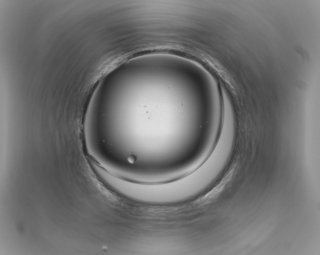 X0000110930985200906181425