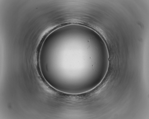 X0000110930987200906181425