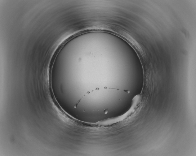X0000110930988200906181425