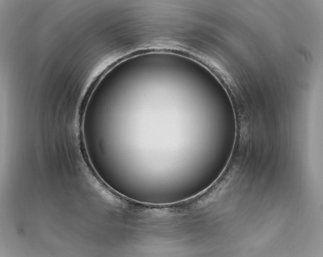 X0000110930990200906181425