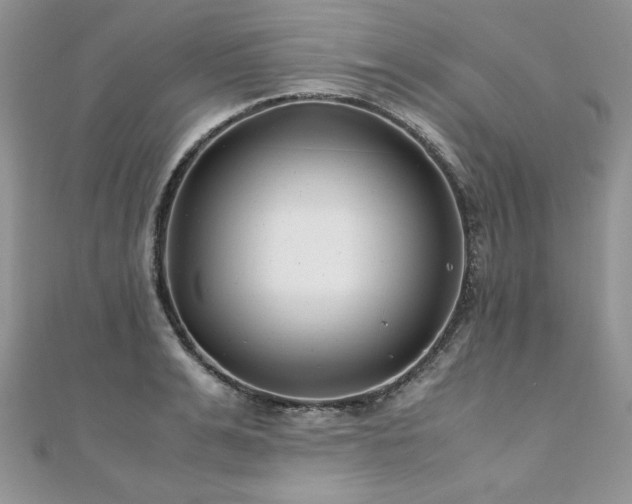 X0000110930991200906181425