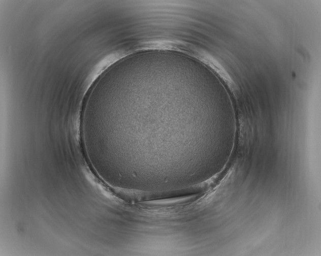 X0000110930994200906181425
