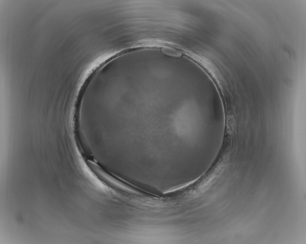 X0000110930995200906181425