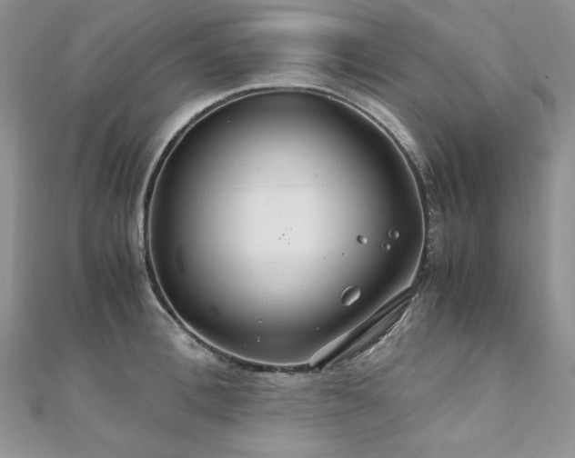X0000110930996200906181425