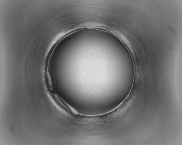 X0000110930997200906181425