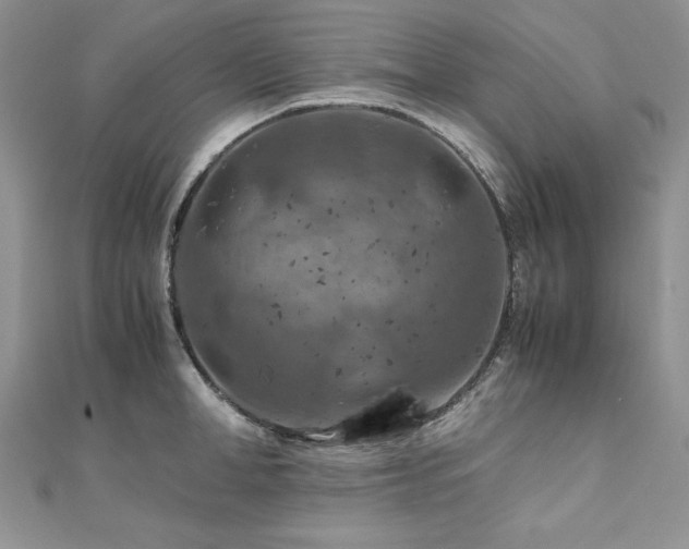 X0000110930998200906181425