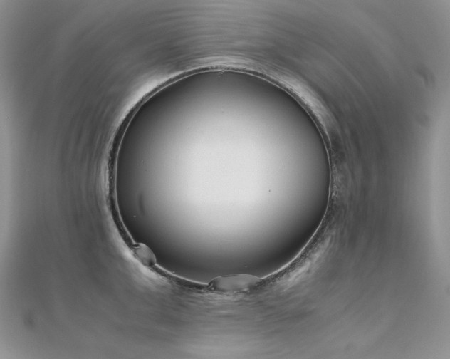 X0000110930999200906181425