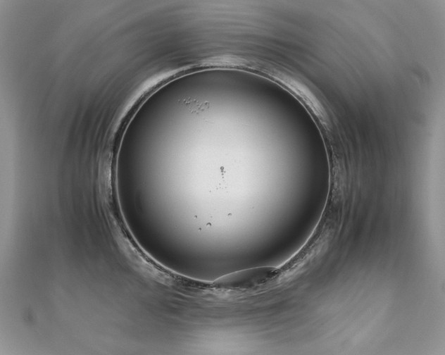 X0000110931000200906181425