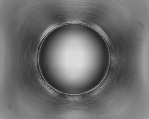 X0000110931002200906181425