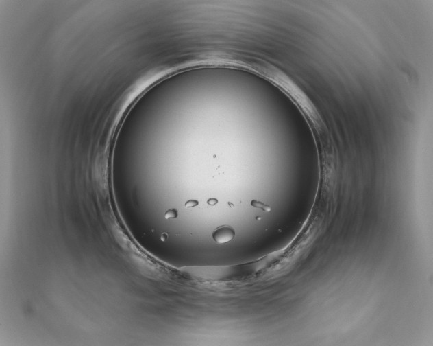 X0000110931004200906181425